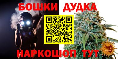 соль ск Дубна