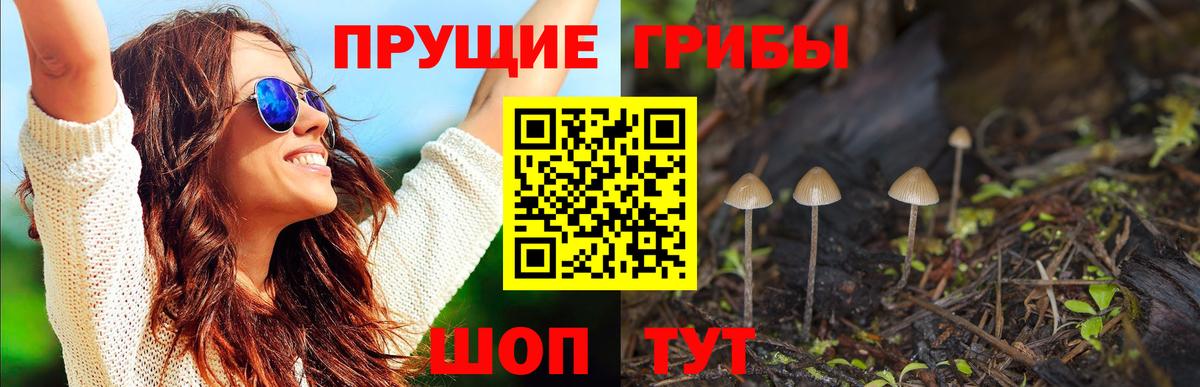 Великий Устюг  Галлюциногенные грибы прущие грибы  наркота  Галлюциногенные грибы MAGIC MUSHROOMS  Вход с VPN 